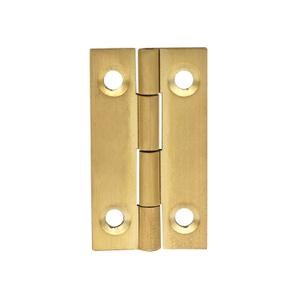 D056 Small Hinge