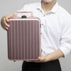 Aluminum Backpack